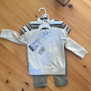 Gray Dinosaur Kids 3 piece set